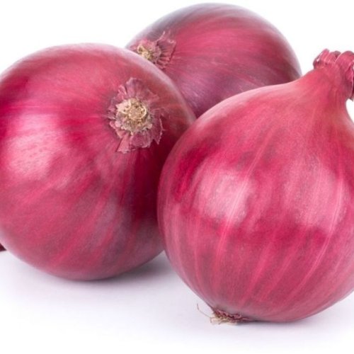 Fresh Red Onion