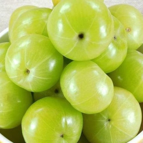 Fresh Green Amla