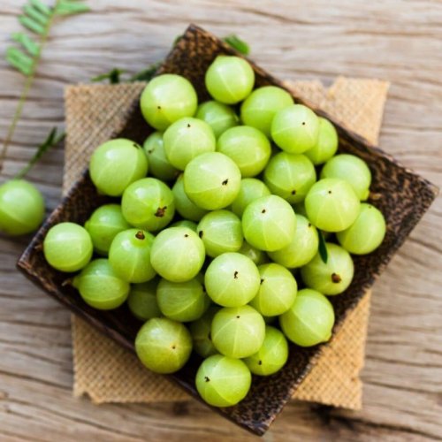 Indian Green Amla