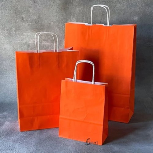 Plain Twisted Handle Paper Carry Bag