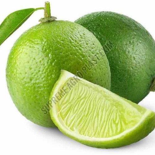 A Grade Fresh Green Lemon