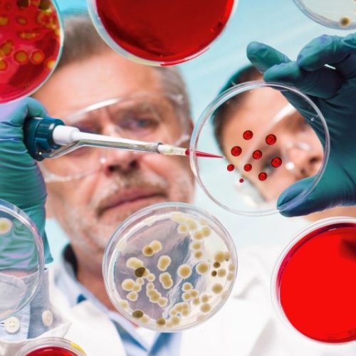 Genotoxicity, Carcinogenicity and Mutagenicity Studies