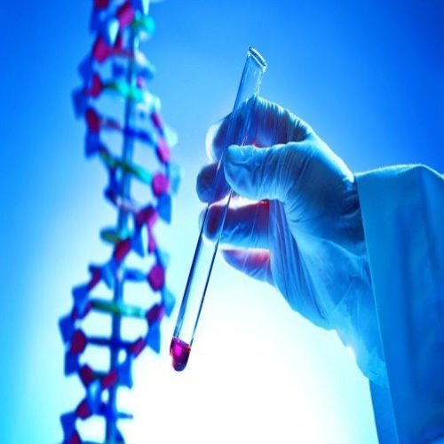 Irritation and Intracutaneous Studies