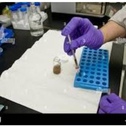 Long Term Accelerated Storage Stability Testing Service