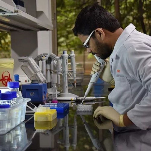 Toxicokinetic and Bioanalytical Services