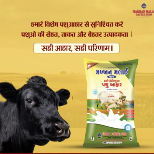 Makhan Malai Gold  Maize Oil Cake