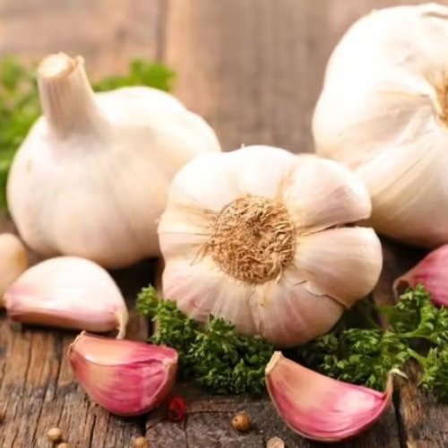 A Grade Whole Fresh Garlic