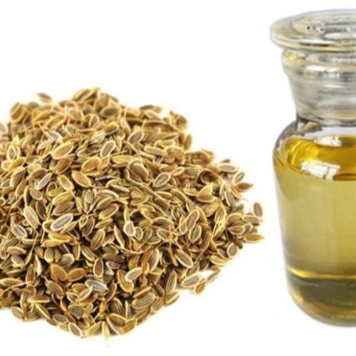 Dill Seed Essential Oil