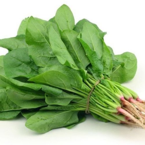 Fresh Green Spinach Leaves