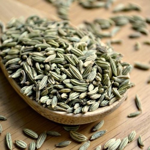 Green Natural Fennel Seeds