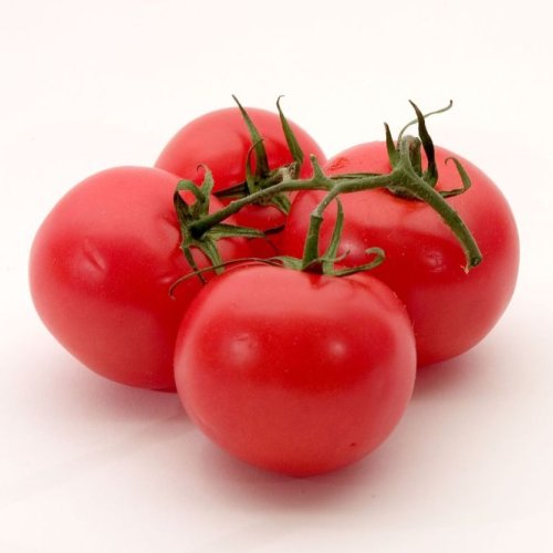 Natural Fresh Red Tomato