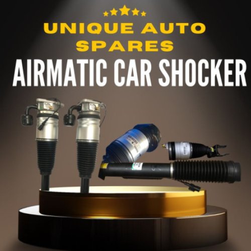 Adjustable Shock Absorbers