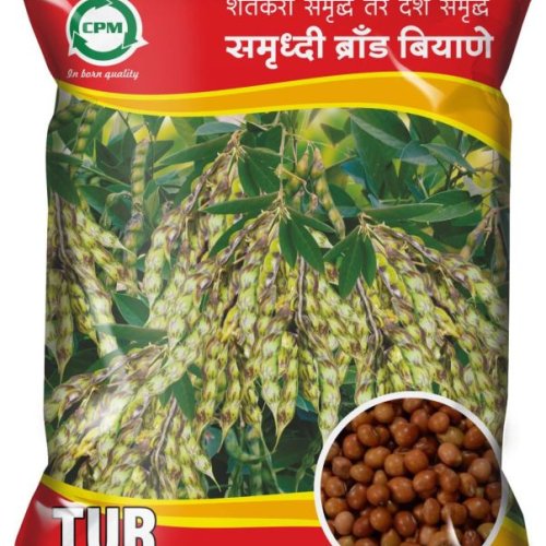ICPL-87 Arhar Seeds