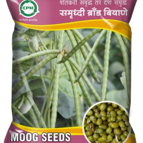 Moong Seeds