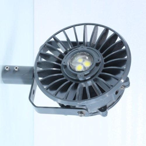 IFS50 Flameproof Street Light