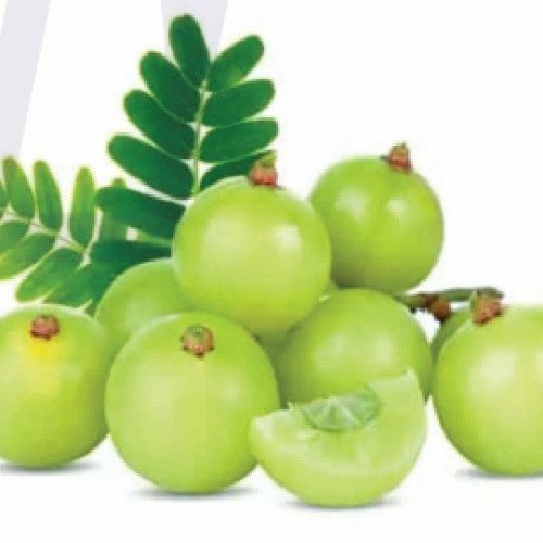 Sour Light Green Frozen Gooseberry