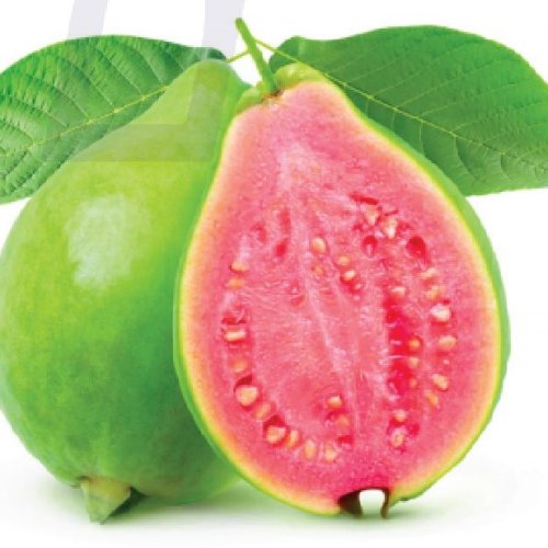 Sweet Frozen Pink Guava