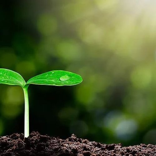 Agro Farming Finance Services