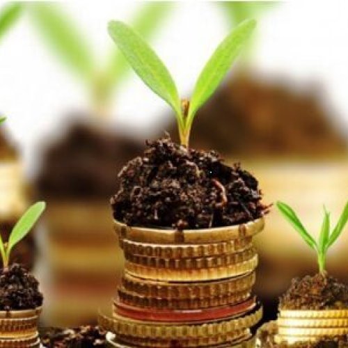 Agro Financial Management Advisory Services