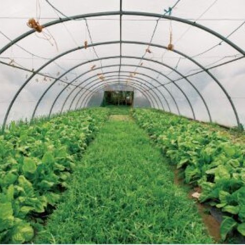 Farm Infrastructure Development Services