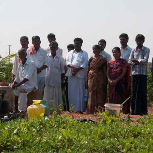 Training and Skill Development Services