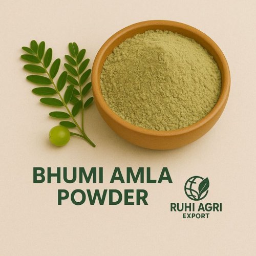 Bhumi Amla Powder