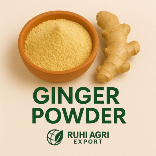 Dehydrated Ginger Powder