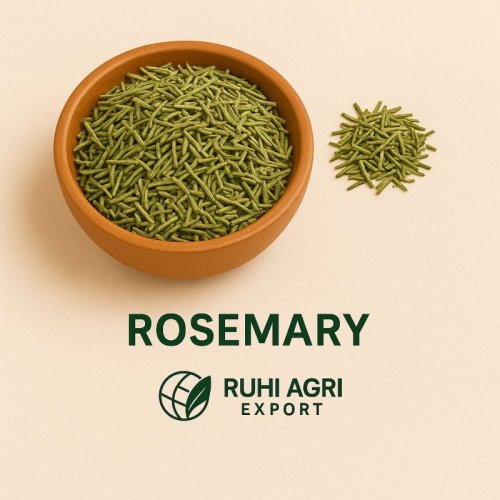 Green Rosemary Dry Leaves