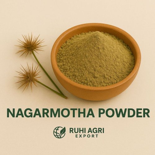 Nagarmotha Powder