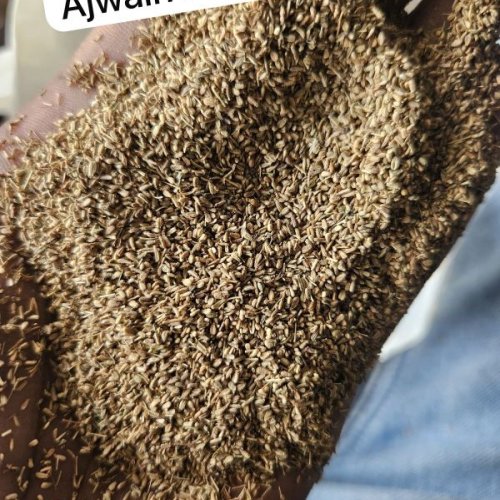 Ajwain
