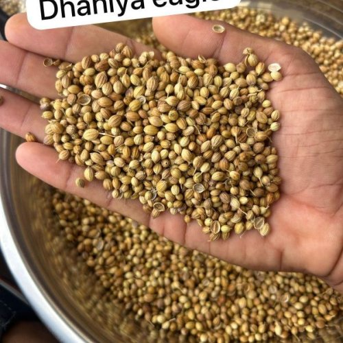 coriander seeds