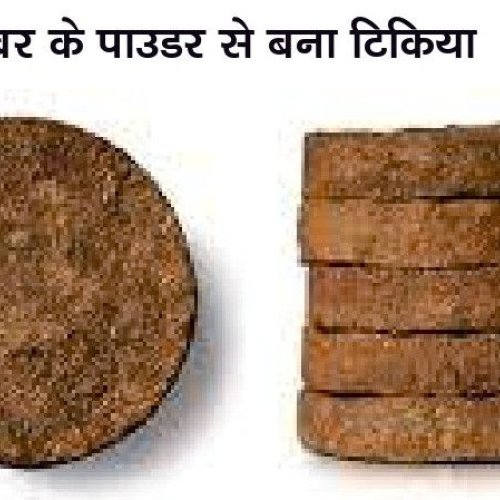 Cow Dung Cake
