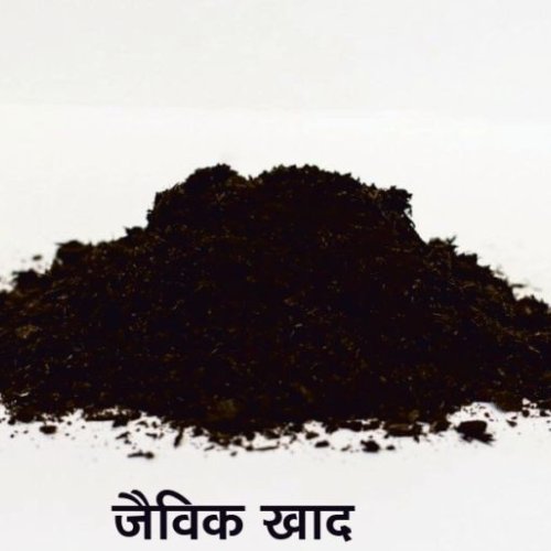 Organic Cow Dung Manure