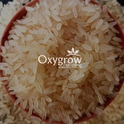 IR64 25% Broken Raw Non Basmati Rice