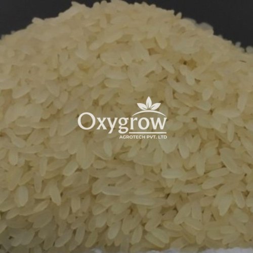 Swarna Non Basmati Rice