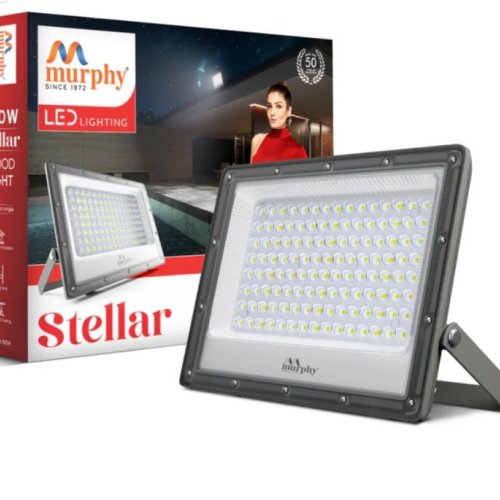 LED Flood Light