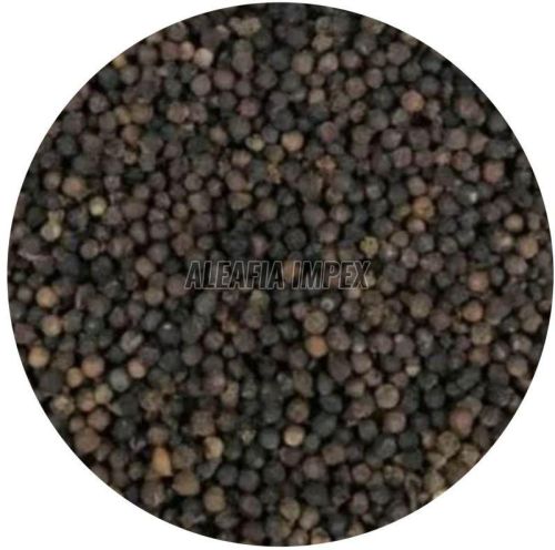 Black Pepper