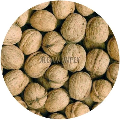 Chile Walnut With Shell