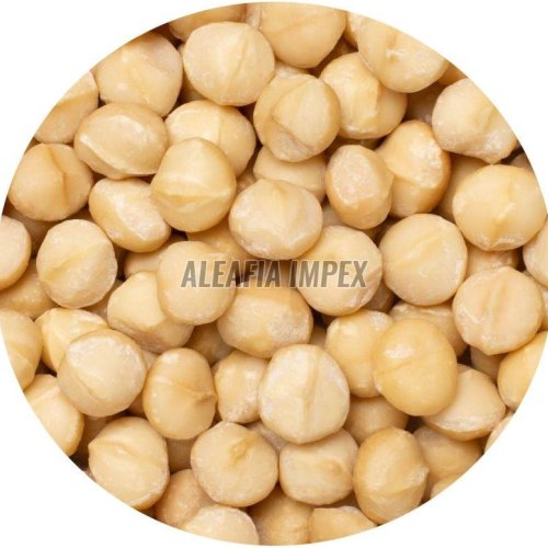 Macadamia Nuts