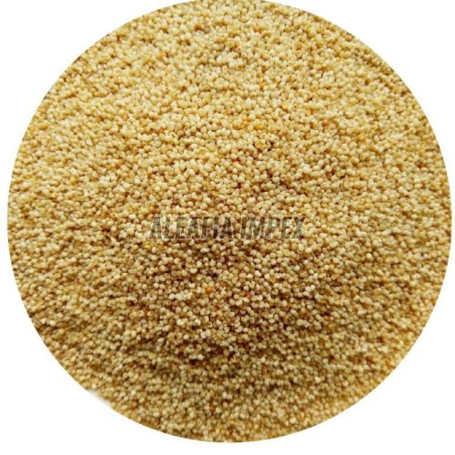 Poppy Seeds