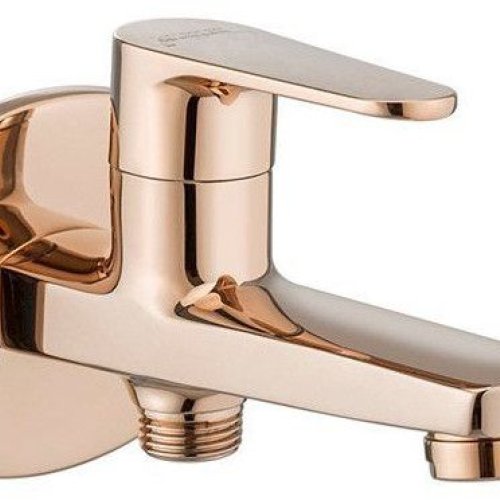 Brass 2 in 1 Bib Cock