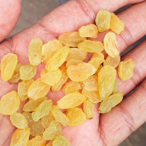 Sun Dried Golden Raisins