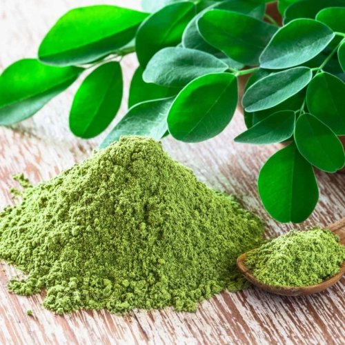 Dehydrated Moringa Powder