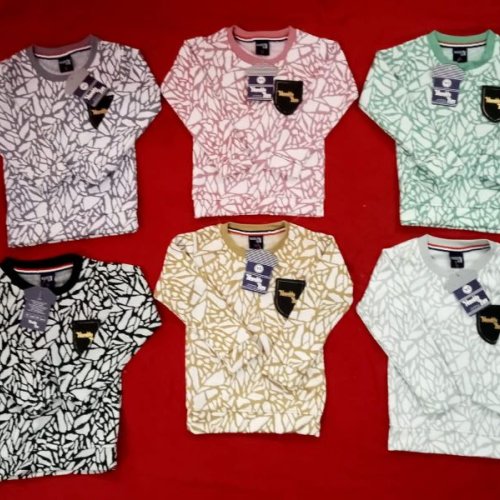 Boys Allover Print Full Sleeve T-shirts