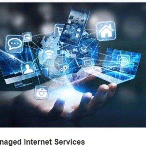 Managed Internet Service