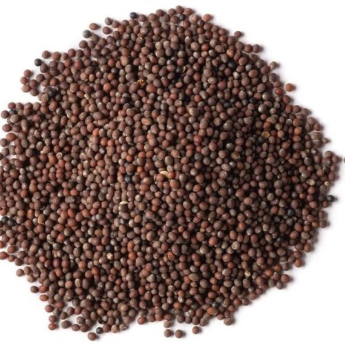 Brown Mustard Seeds