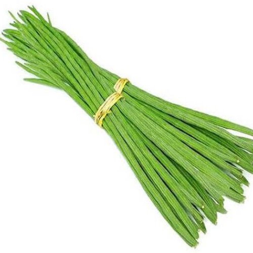 Fresh Green Drumstick