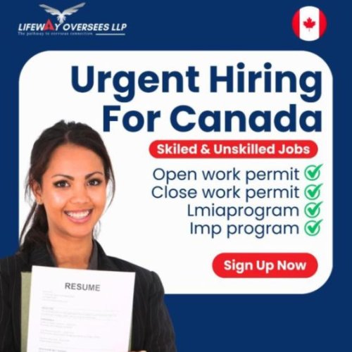 Visa Assistance Service