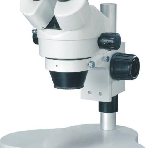 Microscope (Optical)