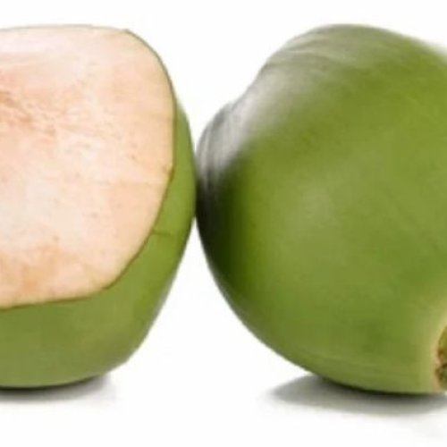 Green Tender Coconut
